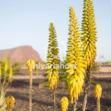 Sunset View La Tejita, By Nivariahost *